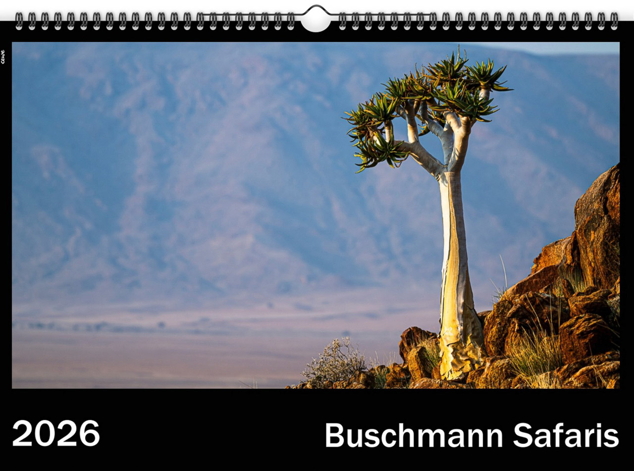 kalender allgemein 01